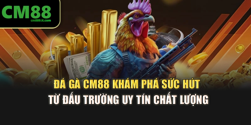 Đá Gà CM88 – Khám Phá Sức Hút Từ Đấu Trường Uy Tín Chất Lượng