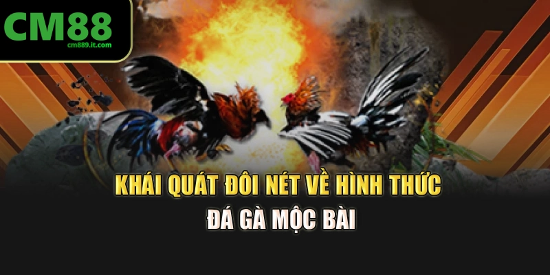 Khái quát đôi nét về hình thức Đá Gà Mộc Bài